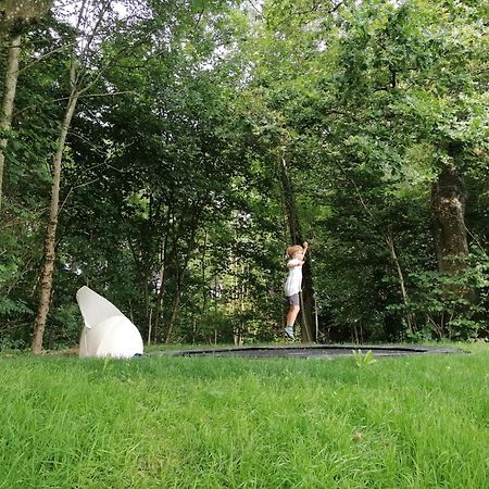 5Sterne Ferienwohnung Im Fachwerk Mit Bergblick In Alleinlage Und Grossem Garten, Infrarotkabine Humberg Εξωτερικό φωτογραφία