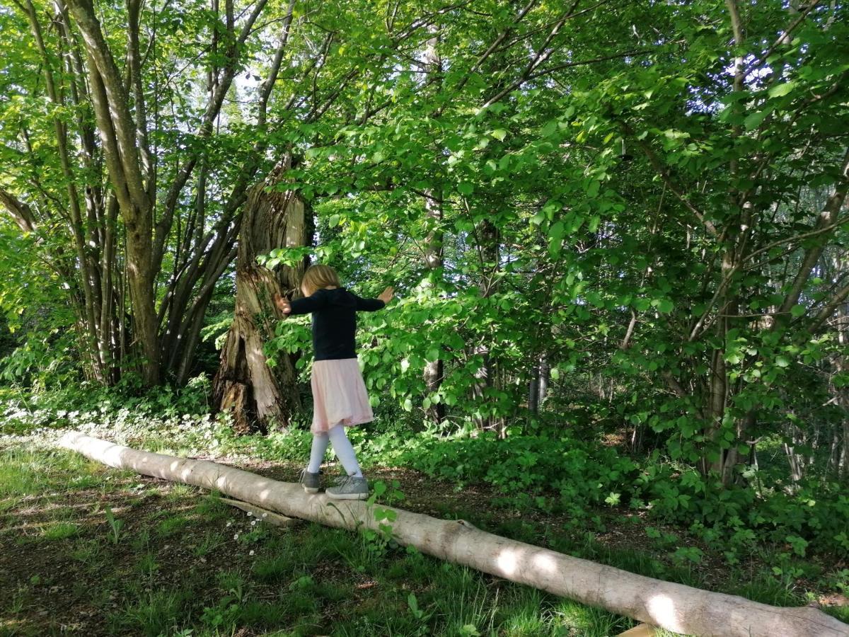 5Sterne Ferienwohnung Im Fachwerk Mit Bergblick In Alleinlage Und Grossem Garten, Infrarotkabine Humberg Εξωτερικό φωτογραφία
